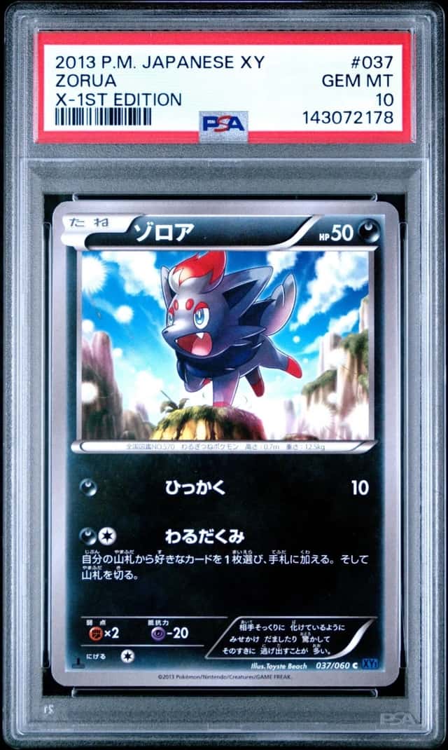 Zorua