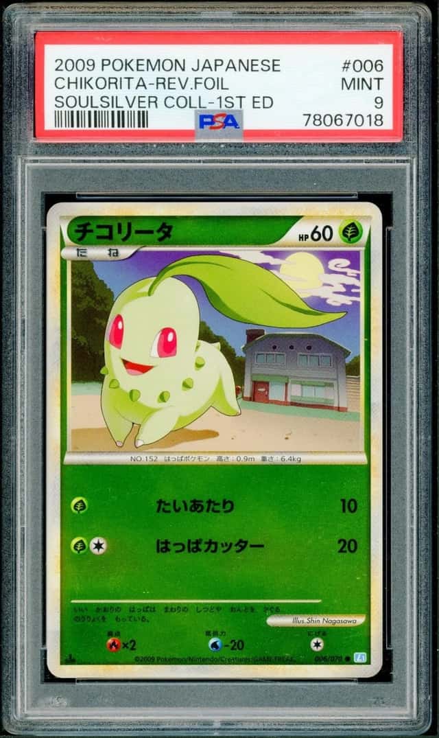 Chikorita