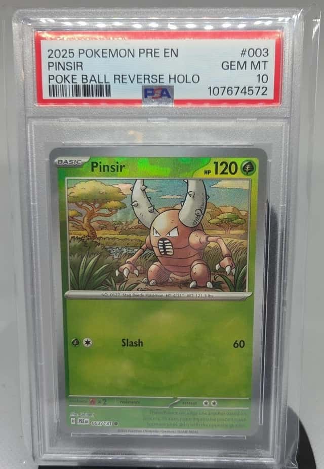 Pinsir