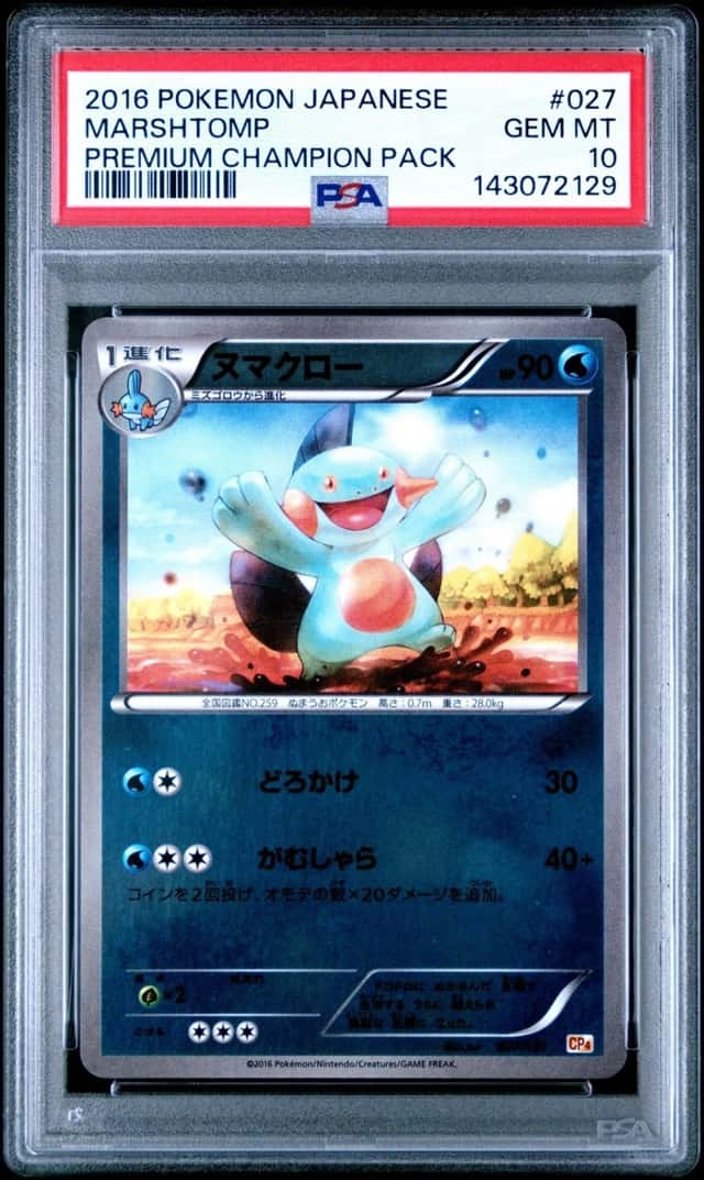 Marshtomp
