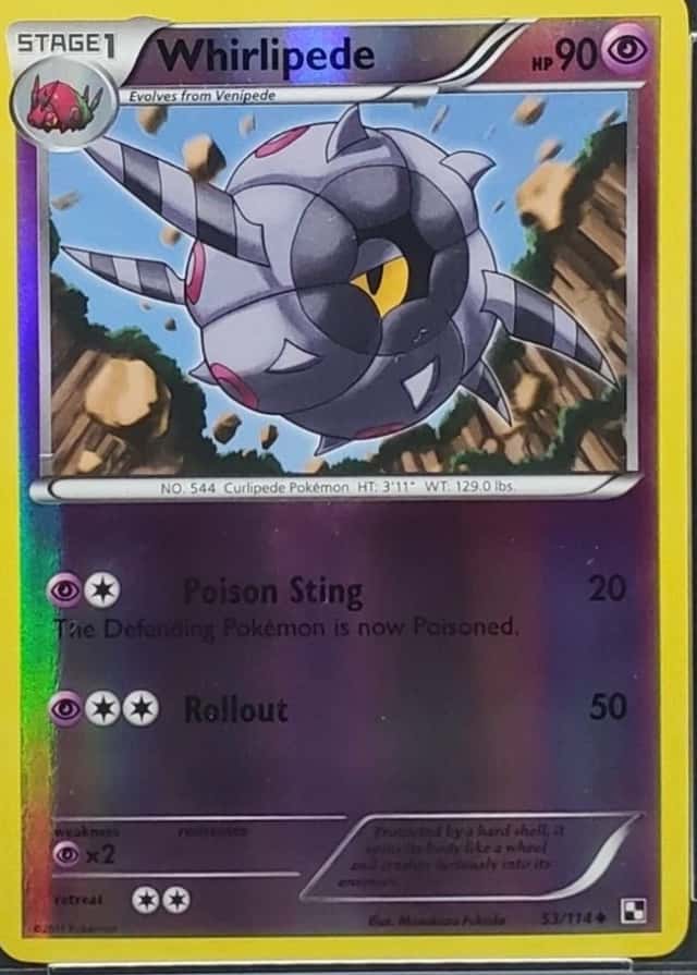 Reverse Holo