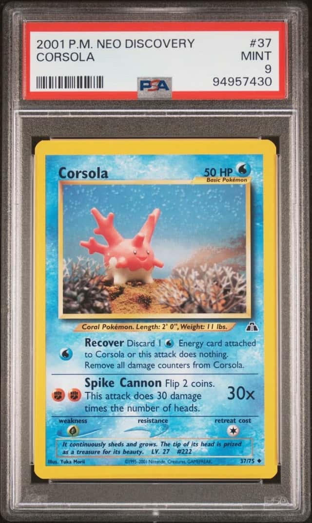 Corsola
