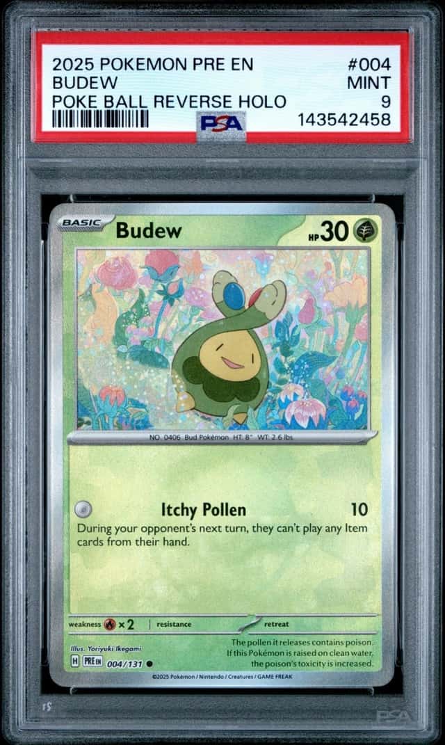 Budew