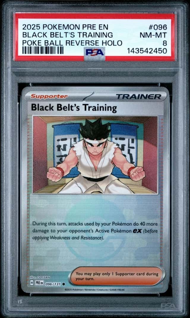 Black Belt's Training