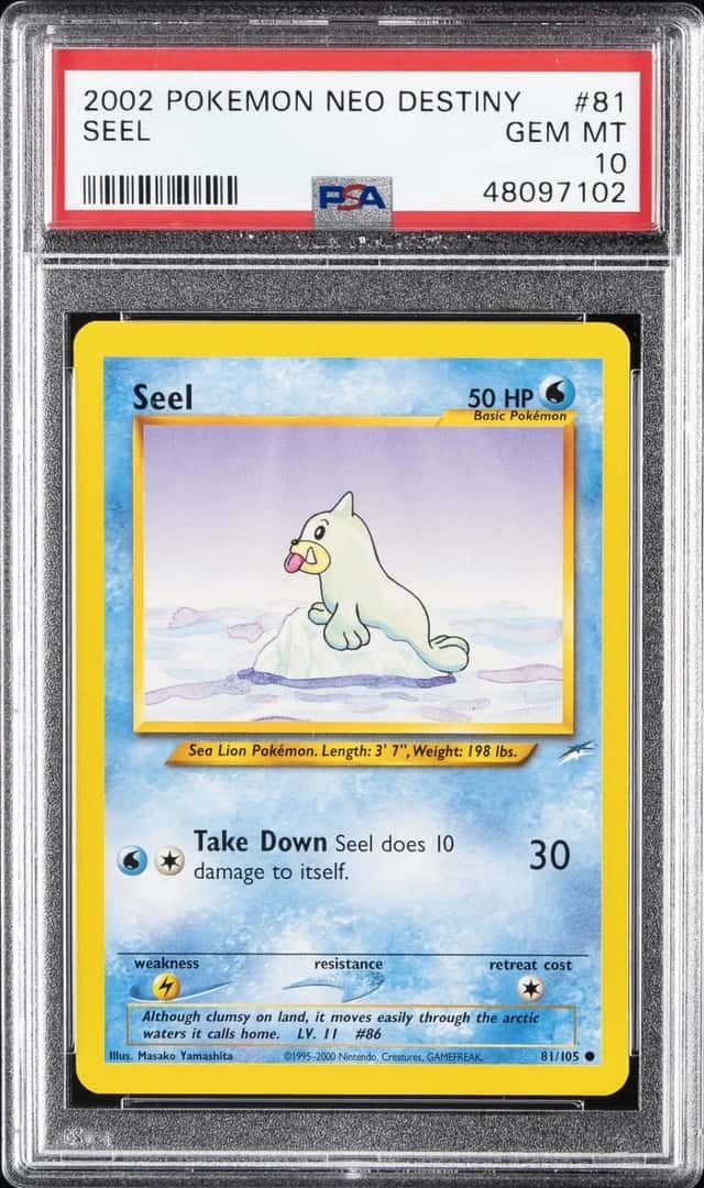 Seel