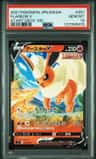 Flareon V