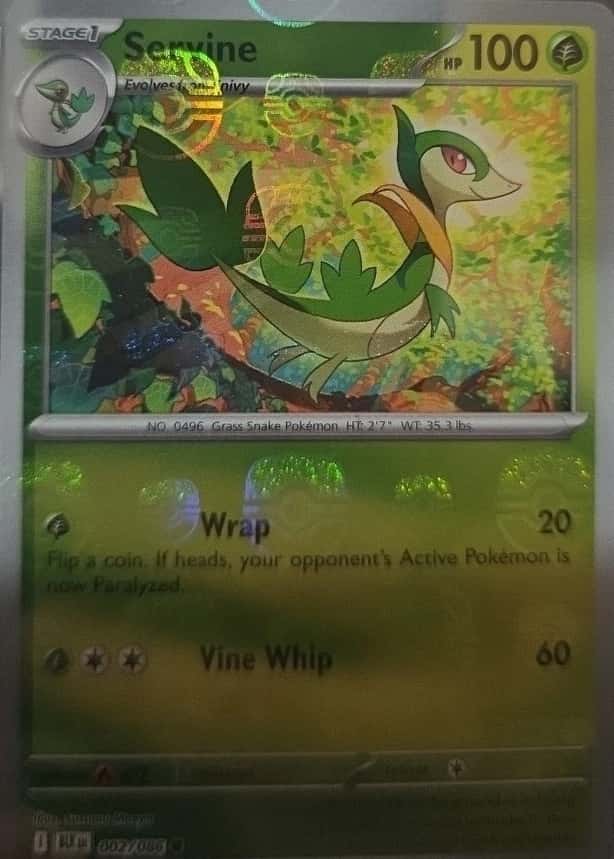 Master Ball · Reverse Holo