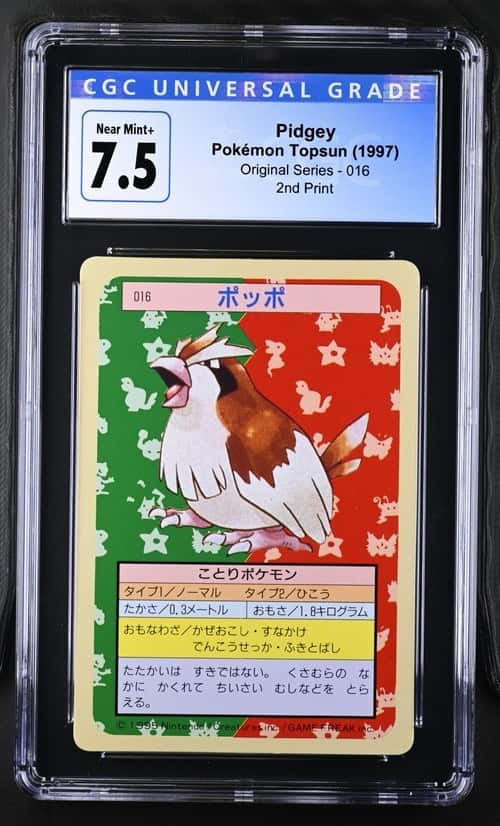 Pidgey