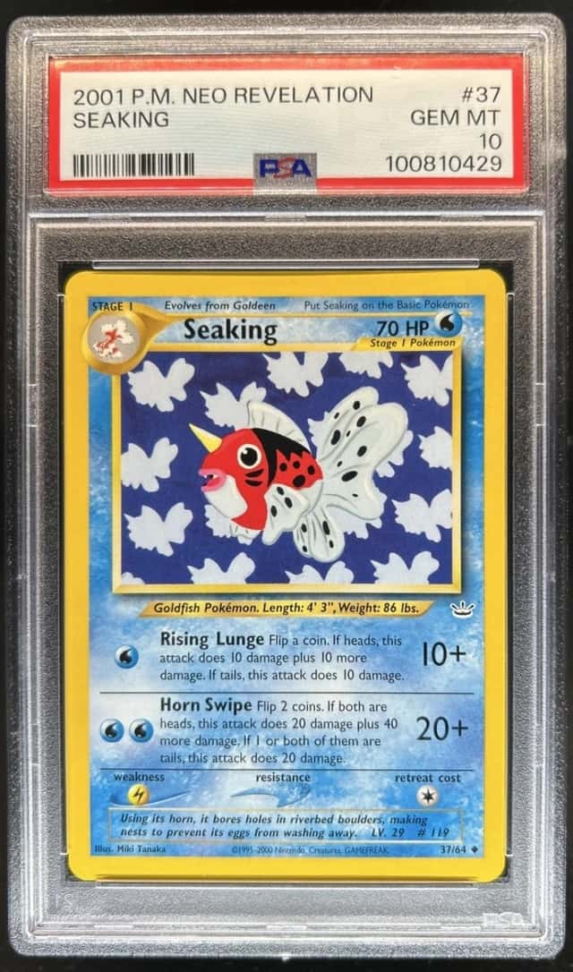 Seaking