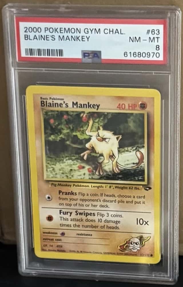 Blaine's Mankey