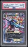 M Sharpedo Ex