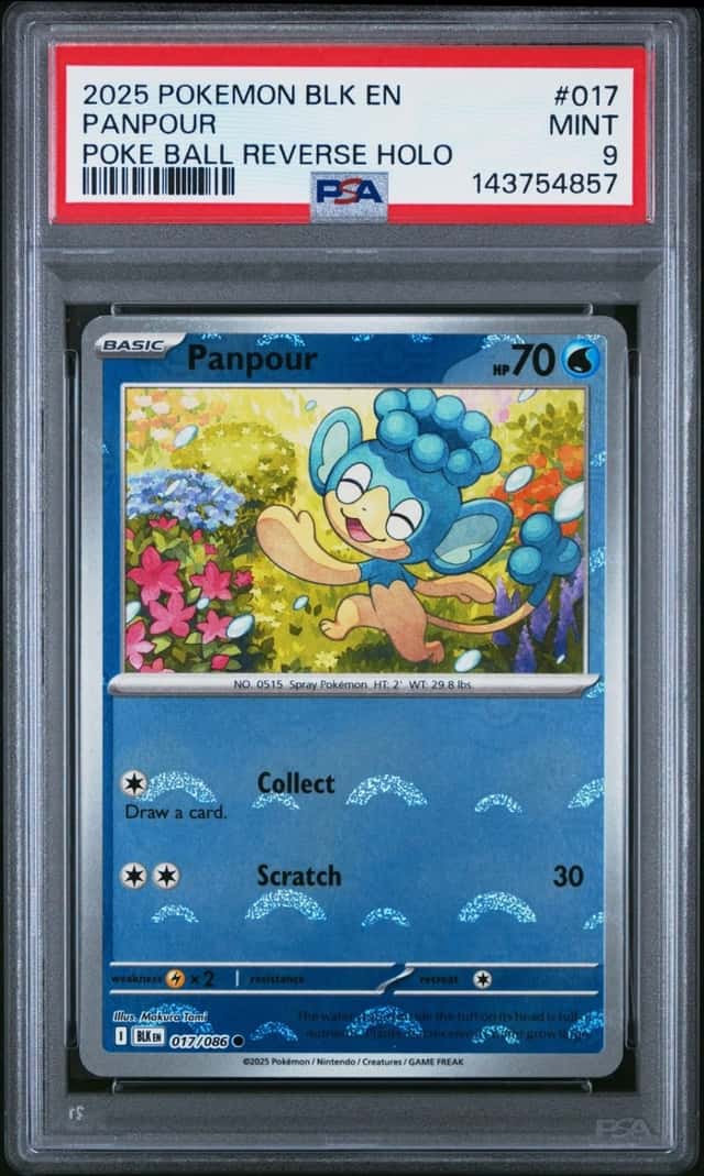 Panpour
