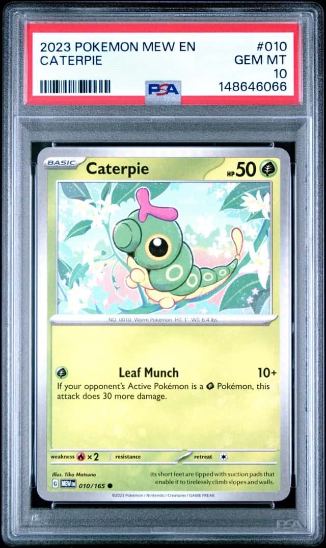 Caterpie