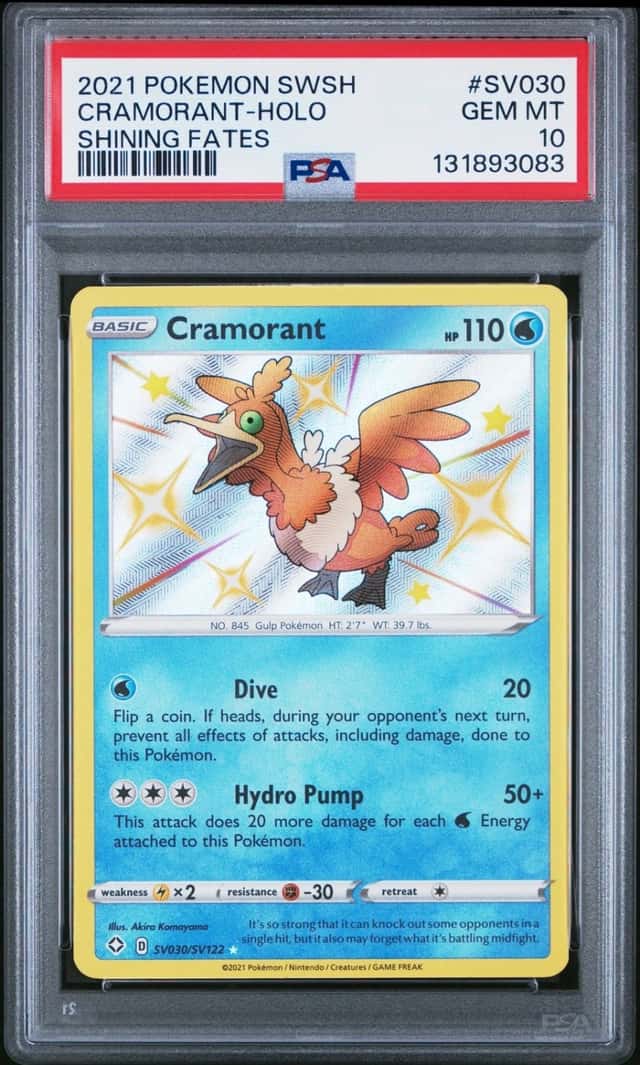 Cramorant