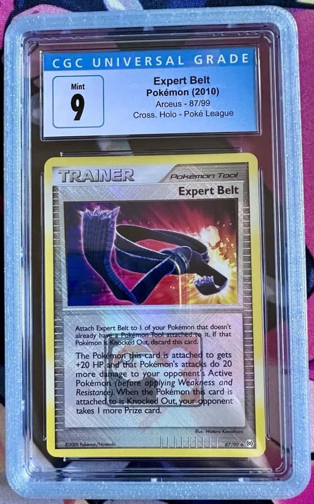 Expert Belt