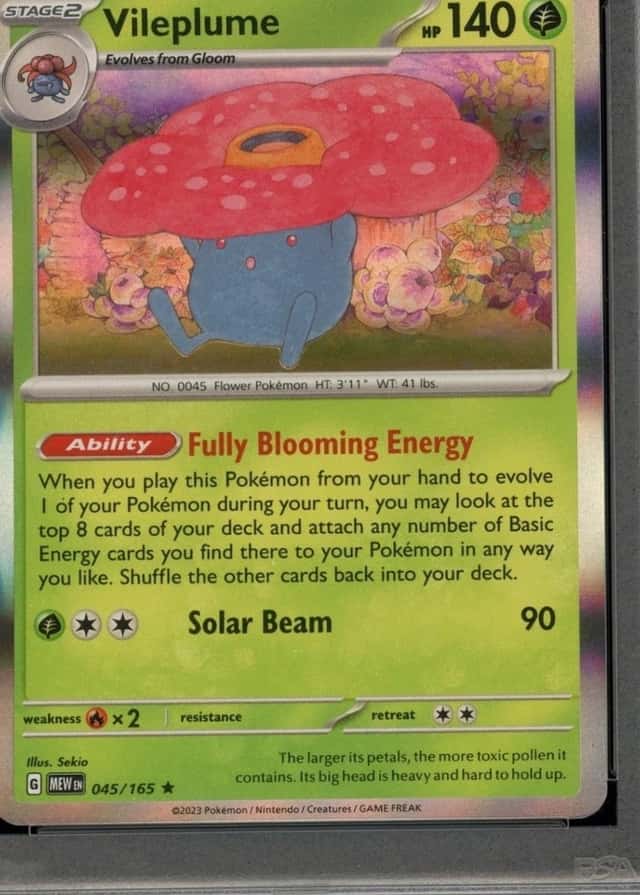 Base / no variant