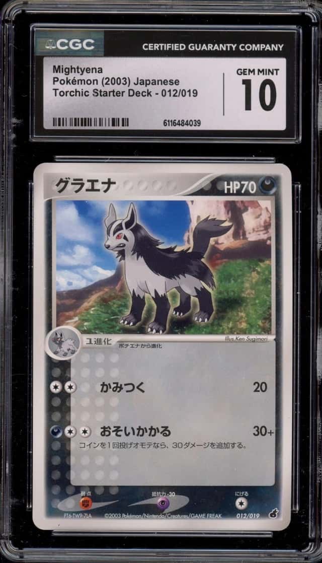 Mightyena