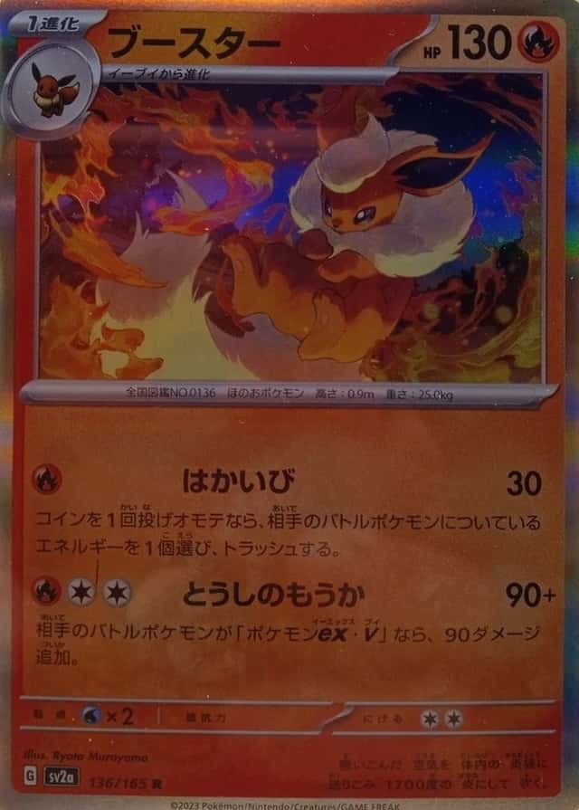 Holo