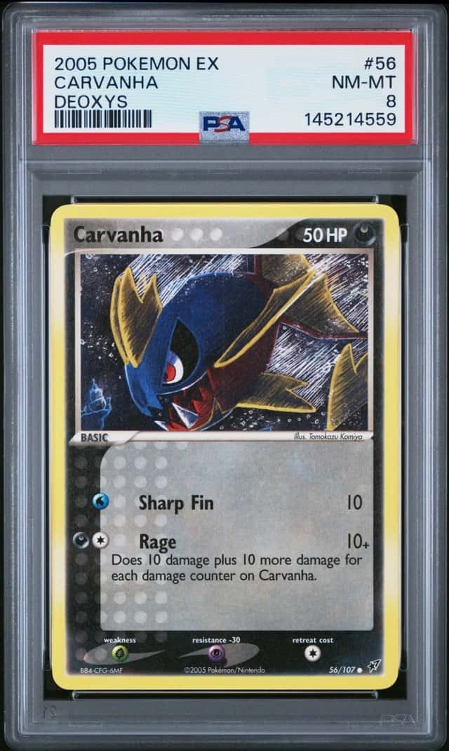 Carvanha