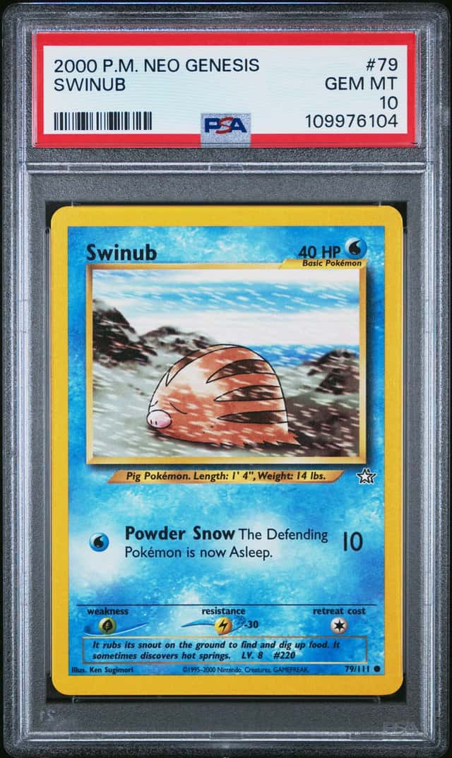 Swinub