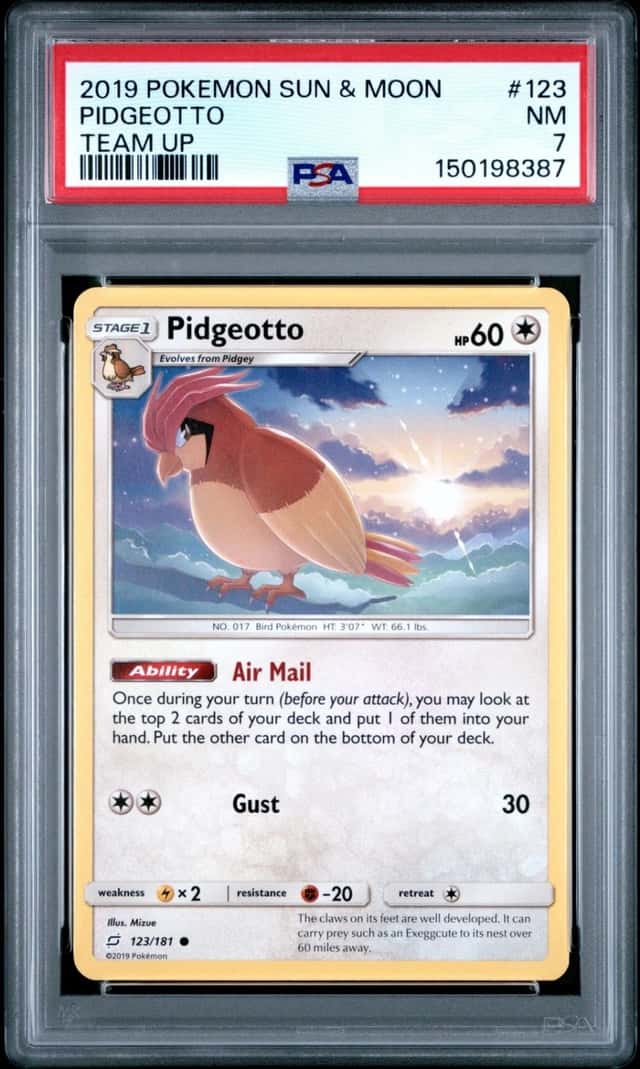 Pidgeotto
