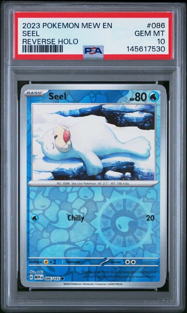 Seel