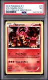 Volcanion