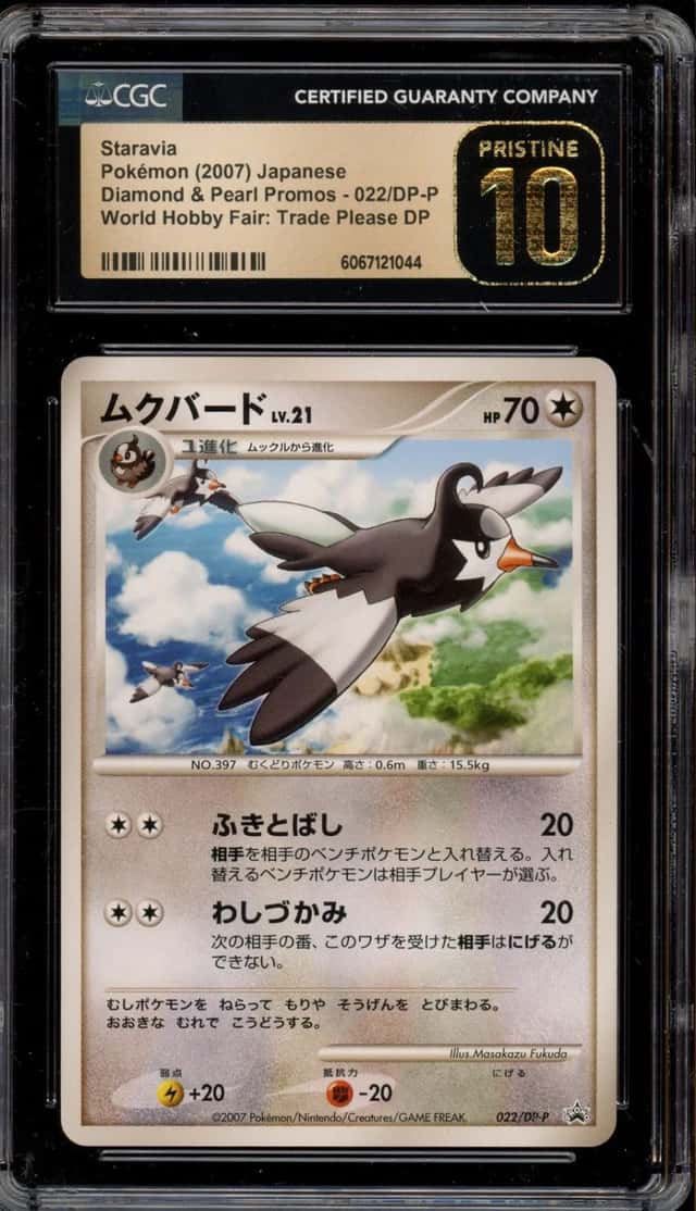 Staravia