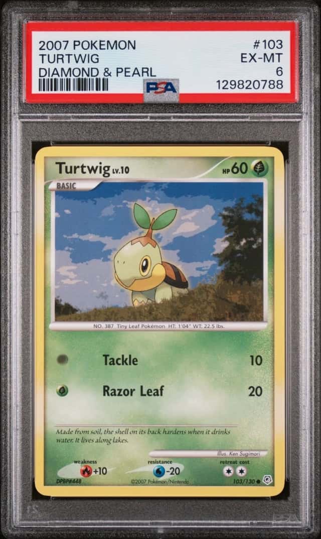 Turtwig