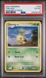 Turtwig