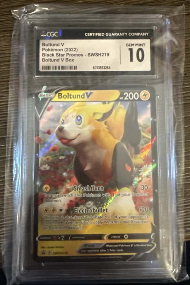 Boltund V