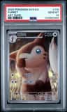 Furret