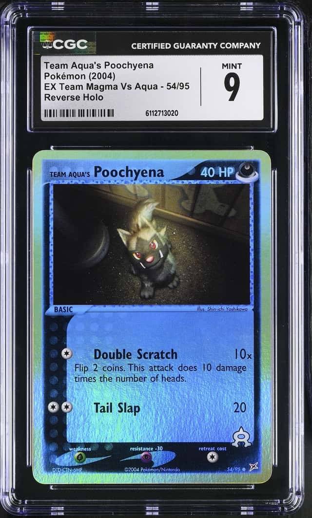 Aqua's Poochyena