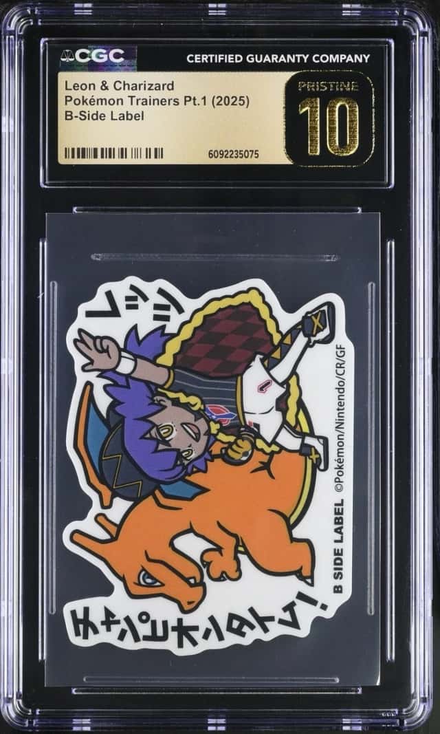 Leon & Charizard