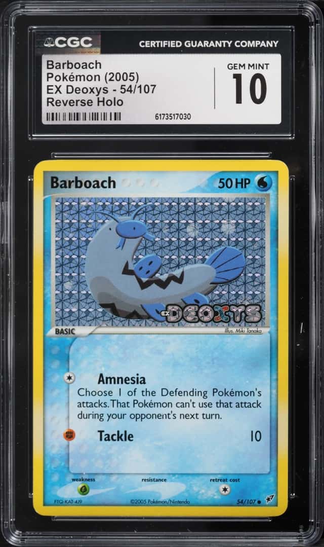 Barboach