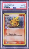 Torchic