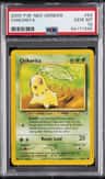 Chikorita