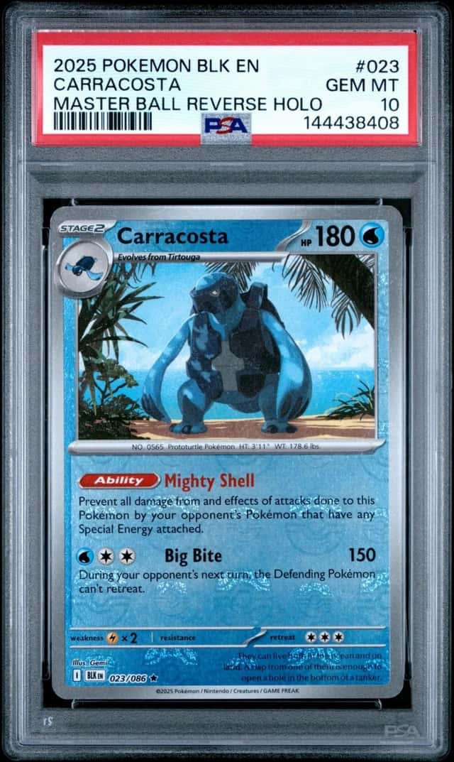 Carracosta