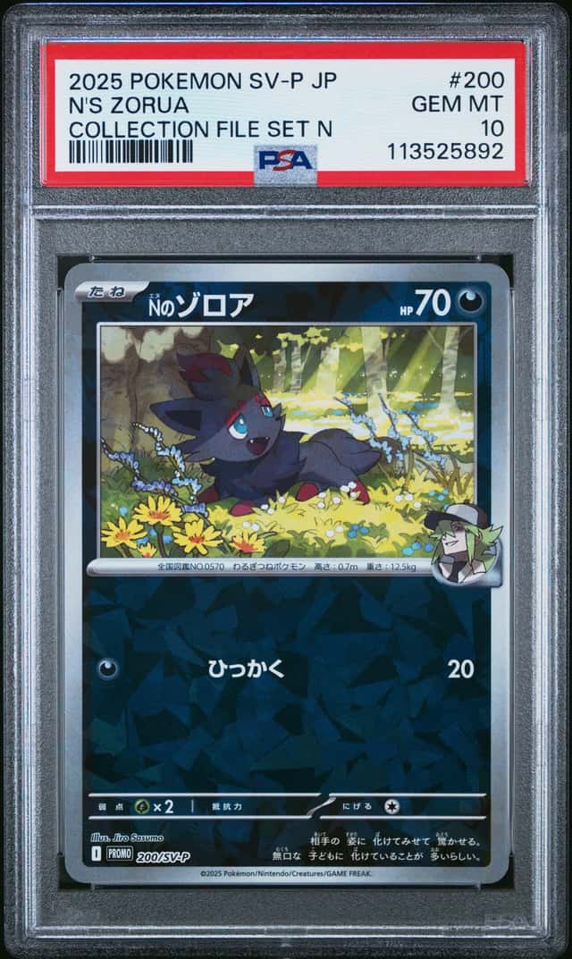 N's Zorua