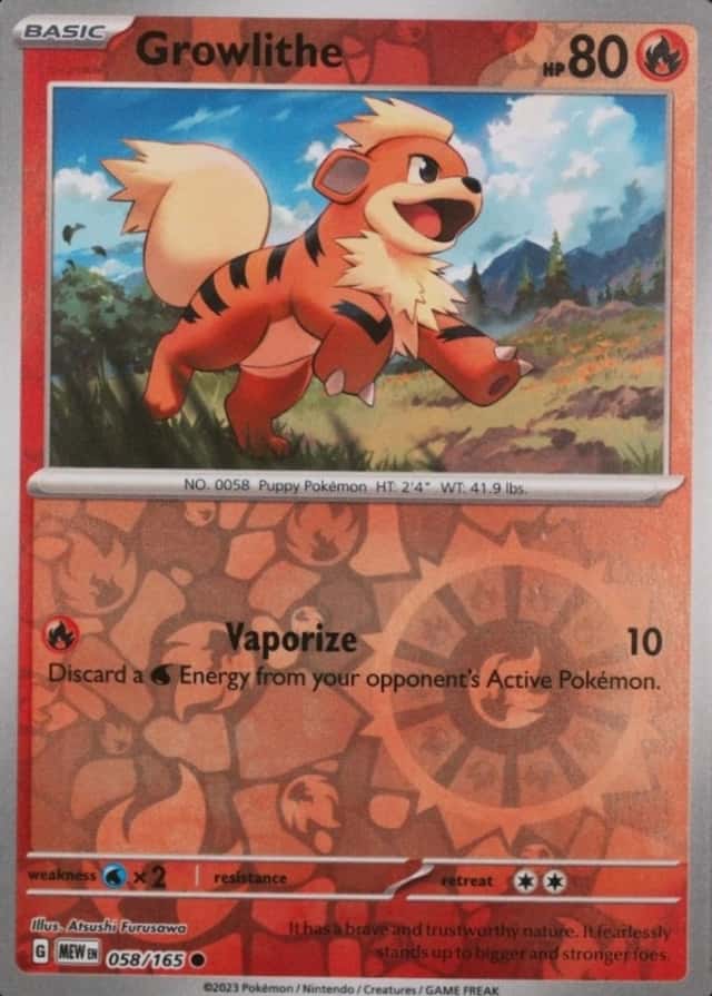 Reverse Holo