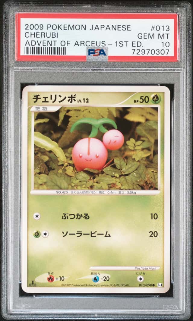 Cherubi