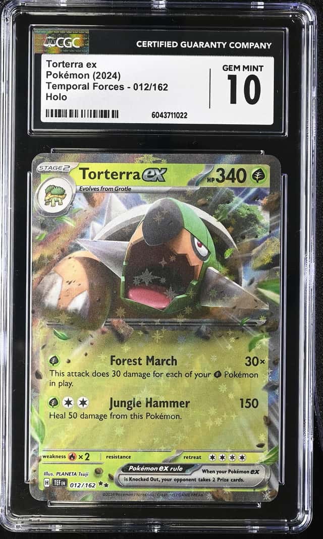 TORTERRA ex