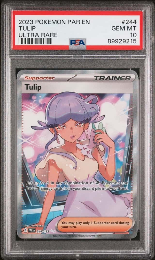 Tulip