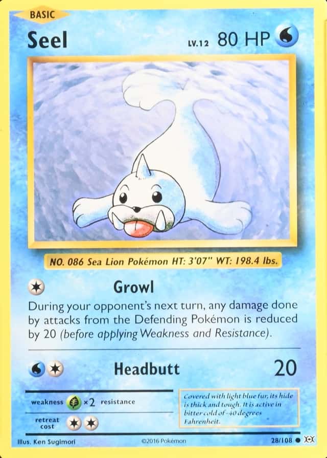 Holo