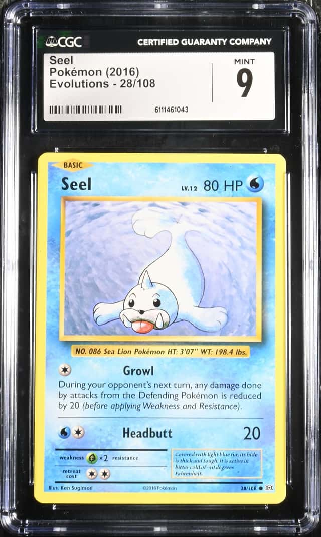Seel