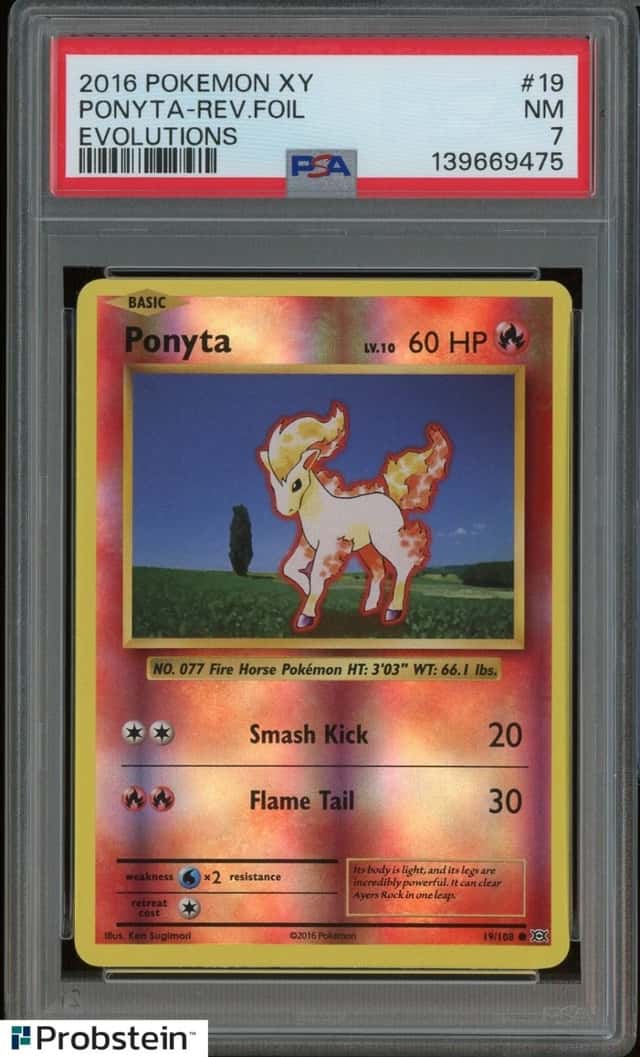 Ponyta
