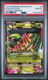 M Sceptile Ex