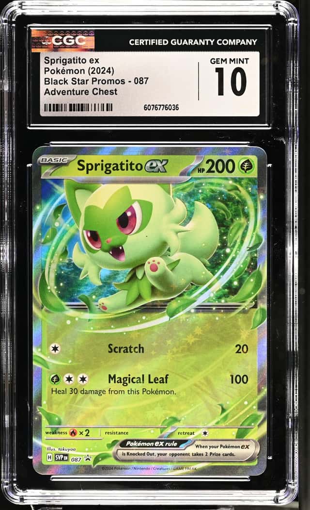 Sprigatito ex