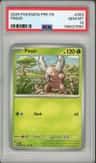 Pinsir