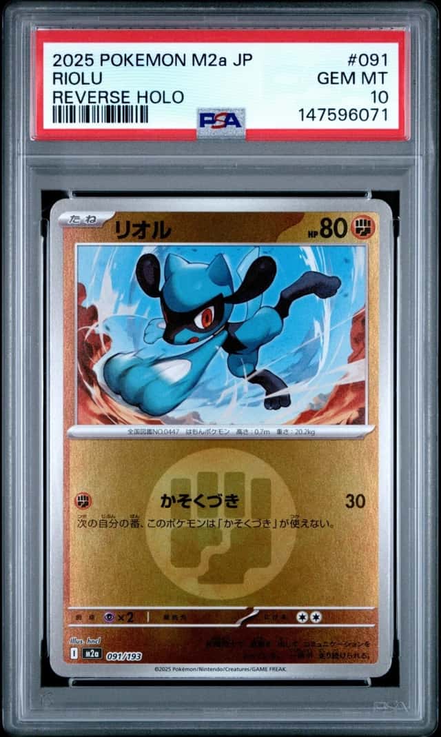 Riolu